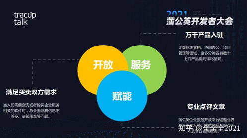 数字化转型中如何选择合适的数据处理服务方案