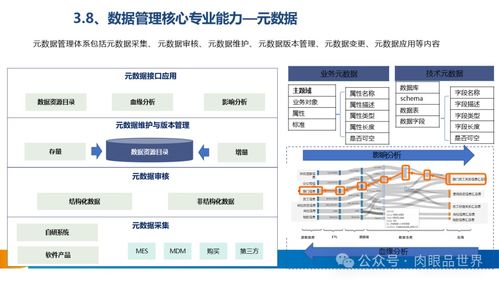 xx集团数据治理体系建设方案——数据处理服务专项设计